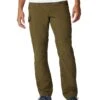 Columbia Silver Ridge™ Convertible Pant -Columbia Sales 61boZGVAXGL. AC SR736920