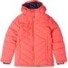 Columbia Kids Winter Powder™ II Quilted Jacket (Little Kids/Big Kids)